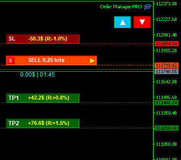 Order Manager PRO Interface 2