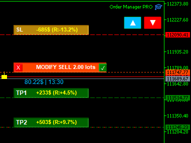 Order Manager PRO Interface 3